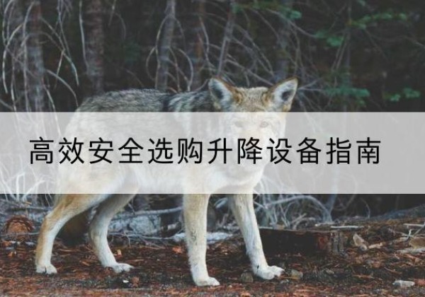 哈巴河升降货梯厂家推荐-*安全选购升降设备指南
