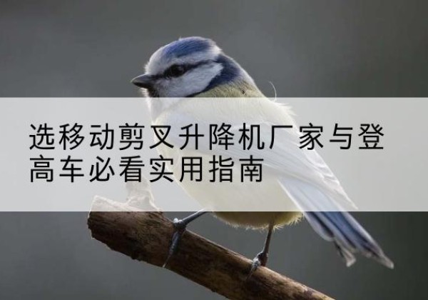 哈巴河电动升降机厂家-选移动剪叉升降机厂家与登高车必看实用指南